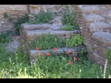 07120 ostia - regio i - insula xii - botteghe (i,xii,7) - 4. laden von sueden - treppe - nordwestecke - 06-2024.jpg